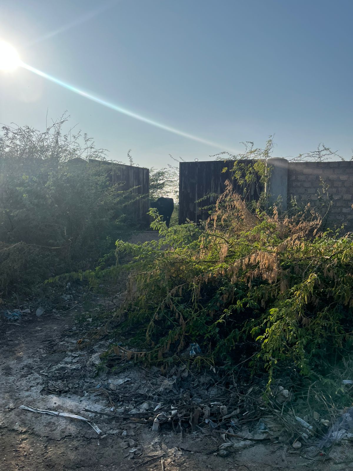 Two Acres Industrial plot with boundary wall in Nooriabad Industrial zone - Image 5